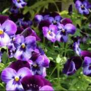 ヒメ日記 2025/12/08 09:29 投稿 香田 鶯谷デッドボール