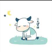 ヒメ日記 2025/12/09 20:19 投稿 香田 鶯谷デッドボール