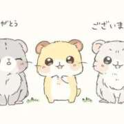 ヒメ日記 2025/12/14 20:09 投稿 香田 鶯谷デッドボール