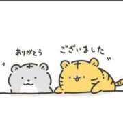 ヒメ日記 2025/12/17 07:51 投稿 香田 鶯谷デッドボール