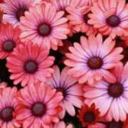 ヒメ日記 2025/12/17 08:09 投稿 香田 鶯谷デッドボール