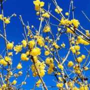 ヒメ日記 2026/01/05 07:49 投稿 香田 鶯谷デッドボール