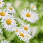 ヒメ日記 2026/01/08 10:49 投稿 香田 鶯谷デッドボール