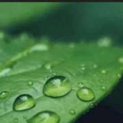 ヒメ日記 2026/04/01 14:49 投稿 香田 鶯谷デッドボール