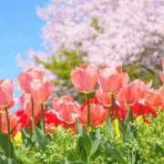 ヒメ日記 2026/04/11 13:19 投稿 香田 鶯谷デッドボール