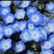 ヒメ日記 2026/04/17 12:56 投稿 香田 鶯谷デッドボール