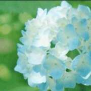 ヒメ日記 2026/06/01 13:49 投稿 香田 鶯谷デッドボール