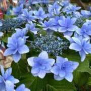ヒメ日記 2026/06/15 14:49 投稿 香田 鶯谷デッドボール