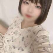 ヒメ日記 2025/08/24 16:20 投稿 ミント 飾窓