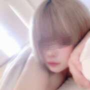 ヒメ日記 2025/11/22 16:00 投稿 ミント 飾窓