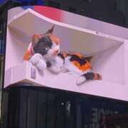 ヒメ日記 2025/07/02 02:05 投稿 七瀬 パンドラ（吉原）