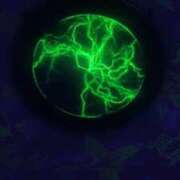 ヒメ日記 2025/08/26 11:25 投稿 みなみ 舐めたくてグループ～君とサプライズ学園～越谷校