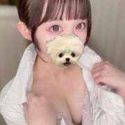 ヒメ日記 2025/12/17 12:25 投稿 みなみ 舐めたくてグループ～君とサプライズ学園～越谷校