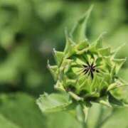 ヒメ日記 2025/08/02 23:34 投稿 北山　あさみ ホットポイントヴィラ