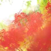 ヒメ日記 2025/08/07 07:00 投稿 北山　あさみ ホットポイントヴィラ