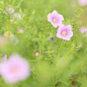 ヒメ日記 2025/08/08 07:01 投稿 北山　あさみ ホットポイントヴィラ