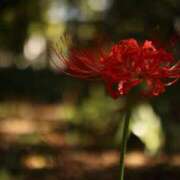 ヒメ日記 2025/08/11 21:43 投稿 北山　あさみ ホットポイントヴィラ