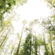 ヒメ日記 2025/08/13 07:29 投稿 北山　あさみ ホットポイントヴィラ