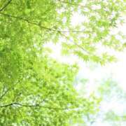 ヒメ日記 2025/08/15 06:45 投稿 北山　あさみ ホットポイントヴィラ