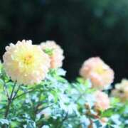 ヒメ日記 2025/08/18 07:23 投稿 北山　あさみ ホットポイントヴィラ