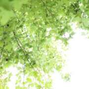 ヒメ日記 2025/08/21 07:59 投稿 北山　あさみ ホットポイントヴィラ