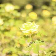 ヒメ日記 2025/08/22 07:08 投稿 北山　あさみ ホットポイントヴィラ