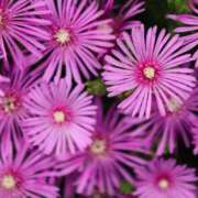 ヒメ日記 2025/08/23 08:01 投稿 北山　あさみ ホットポイントヴィラ