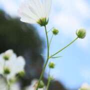 ヒメ日記 2025/08/28 06:30 投稿 北山　あさみ ホットポイントヴィラ