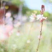 ヒメ日記 2025/08/29 06:00 投稿 北山　あさみ ホットポイントヴィラ