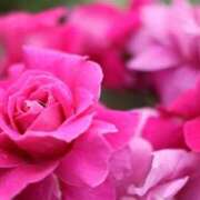 ヒメ日記 2025/08/30 08:00 投稿 北山　あさみ ホットポイントヴィラ