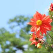 ヒメ日記 2025/09/02 07:00 投稿 北山　あさみ ホットポイントヴィラ