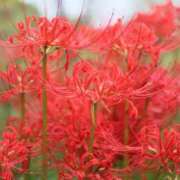 ヒメ日記 2025/09/03 07:00 投稿 北山　あさみ ホットポイントヴィラ