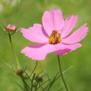 ヒメ日記 2025/09/04 07:00 投稿 北山　あさみ ホットポイントヴィラ