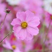 ヒメ日記 2025/09/05 07:30 投稿 北山　あさみ ホットポイントヴィラ