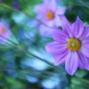 ヒメ日記 2025/09/11 07:00 投稿 北山　あさみ ホットポイントヴィラ