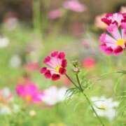 ヒメ日記 2025/09/12 18:23 投稿 北山　あさみ ホットポイントヴィラ