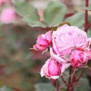 ヒメ日記 2025/09/13 07:22 投稿 北山　あさみ ホットポイントヴィラ