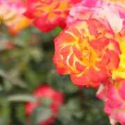 ヒメ日記 2025/09/15 08:26 投稿 北山　あさみ ホットポイントヴィラ