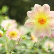 ヒメ日記 2025/09/24 18:01 投稿 北山　あさみ ホットポイントヴィラ