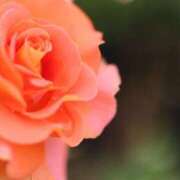 ヒメ日記 2025/09/25 06:00 投稿 北山　あさみ ホットポイントヴィラ