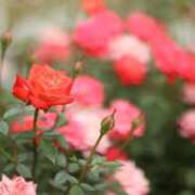 ヒメ日記 2025/09/29 06:59 投稿 北山　あさみ ホットポイントヴィラ