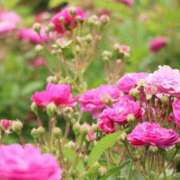 ヒメ日記 2025/09/30 07:01 投稿 北山　あさみ ホットポイントヴィラ