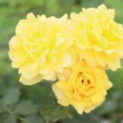 ヒメ日記 2025/10/04 07:30 投稿 北山　あさみ ホットポイントヴィラ