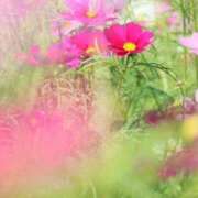 ヒメ日記 2025/10/06 07:30 投稿 北山　あさみ ホットポイントヴィラ