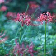 ヒメ日記 2025/10/08 12:00 投稿 北山　あさみ ホットポイントヴィラ