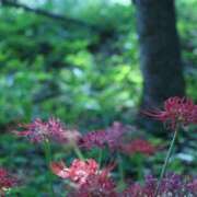 ヒメ日記 2025/10/10 12:01 投稿 北山　あさみ ホットポイントヴィラ