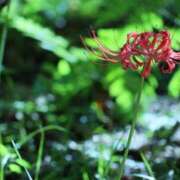 ヒメ日記 2025/10/14 07:30 投稿 北山　あさみ ホットポイントヴィラ