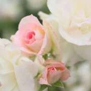 ヒメ日記 2025/10/16 07:30 投稿 北山　あさみ ホットポイントヴィラ