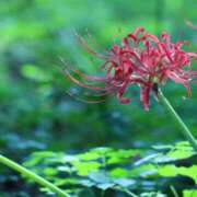 ヒメ日記 2025/10/18 21:37 投稿 北山　あさみ ホットポイントヴィラ