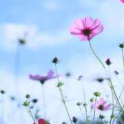 ヒメ日記 2025/10/21 07:30 投稿 北山　あさみ ホットポイントヴィラ